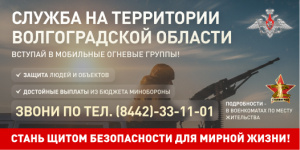 Мобильные огневые группы Мобильные огневые группы